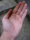 My dirty left hand