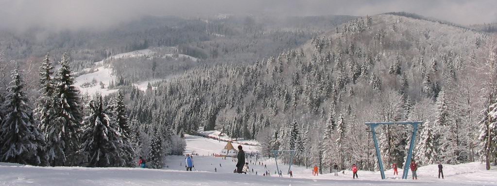 Panorama of the slope at Cavnic