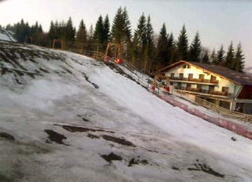 The base of Roata slopes at Cavnic