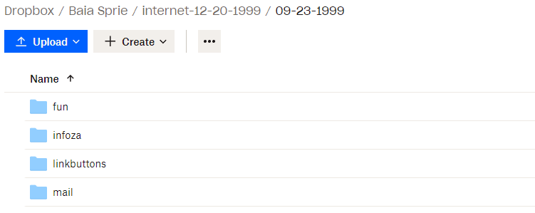 Screenshot folder internet cu conținutul unei zile