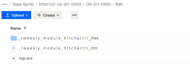 Screenshot folder internet cu conținutul unei folder dintr-o anumită zi