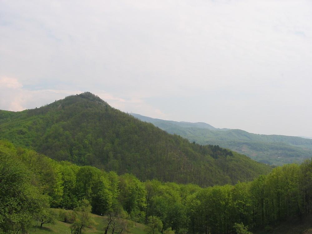 Dealul Minei din Baia Sprie, văzut dinspre nord est.