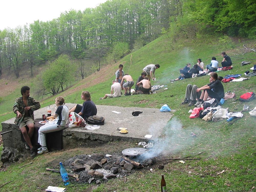 Picnicul din 2004 în plină desfășurare