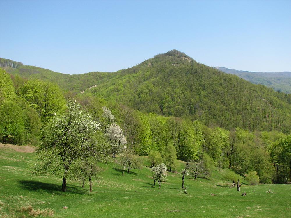 Tot Dealul Minei, tot văzut din Grădina Danila.