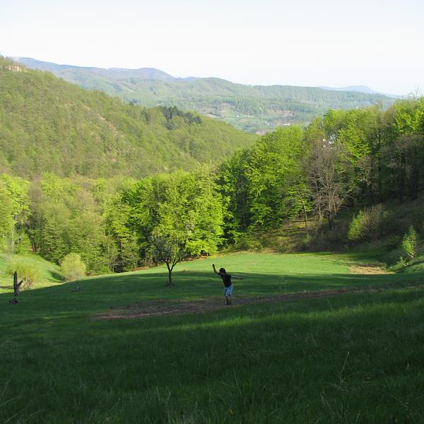 Cred că se jucau amicii cu frisbee.