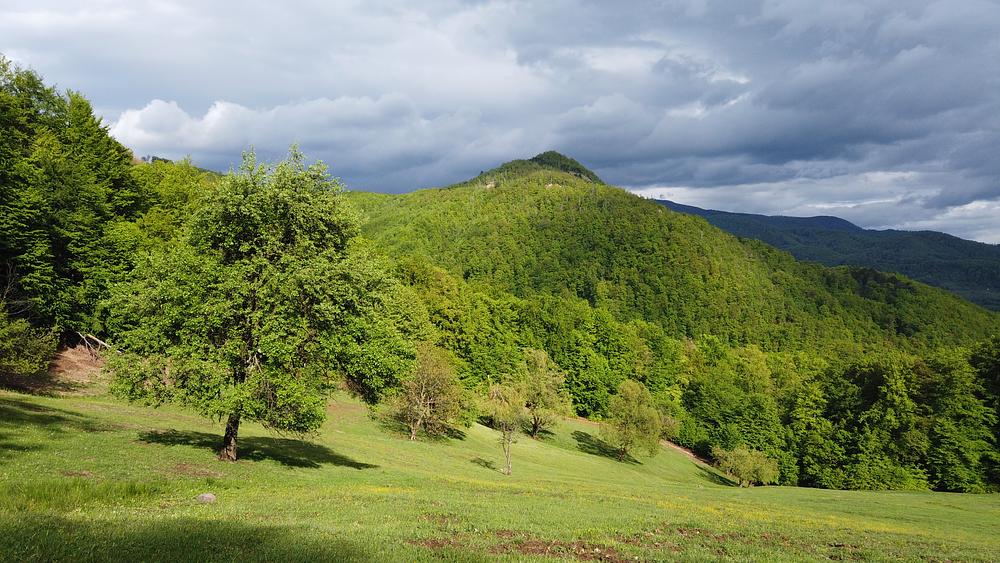 Dealul Minei într-o lumină de vis