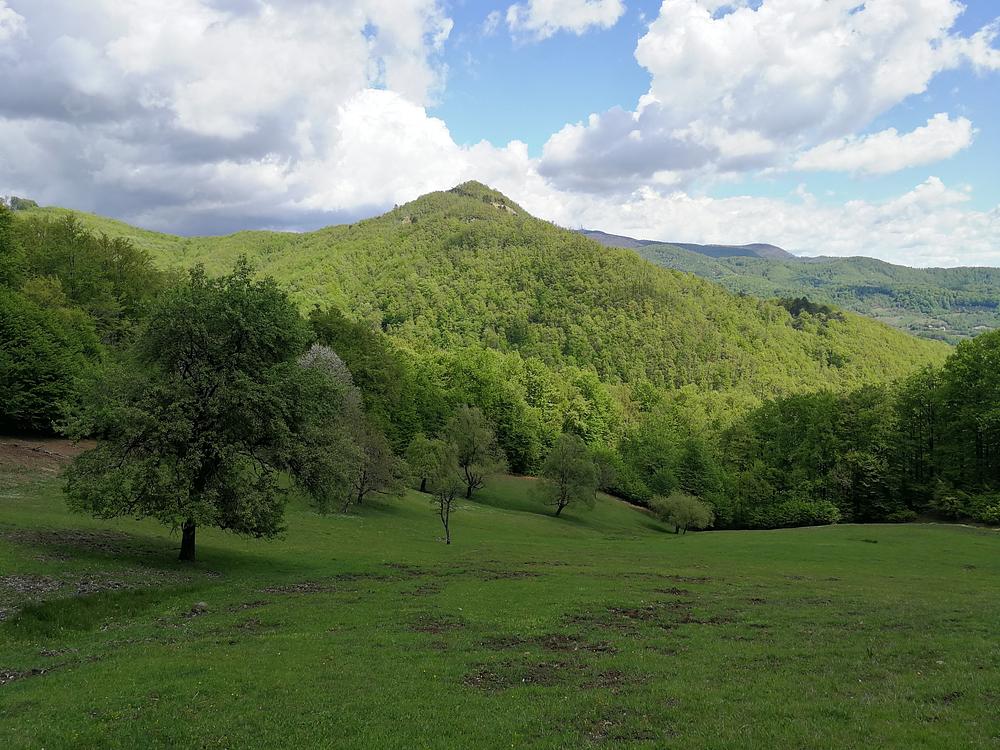 Pandemie sau nu, Dealul Minei arăta la fel