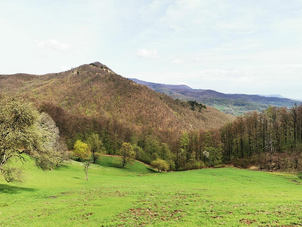 În 2021 cu natura întarziată bine