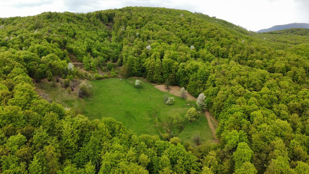 Grădina Danila în toată splendoarea ei