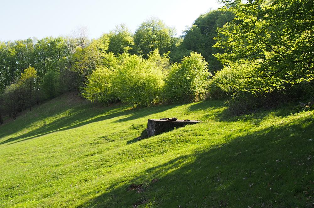 Căminul și liziera crescută la loc