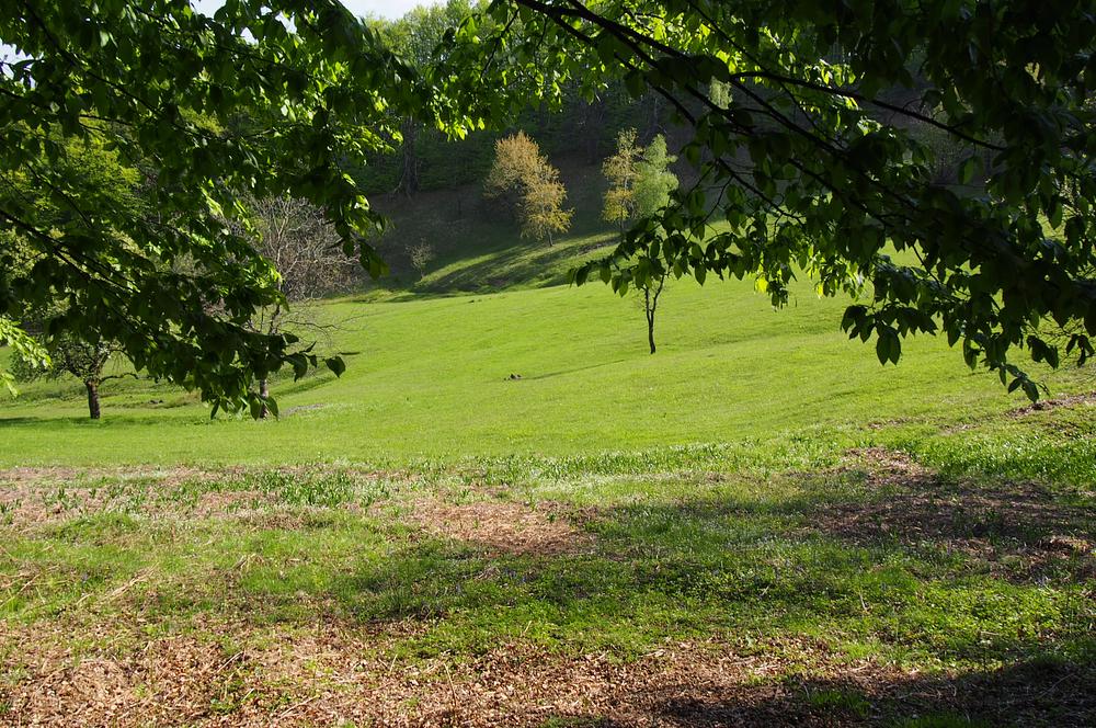 Vedere de la umbră
