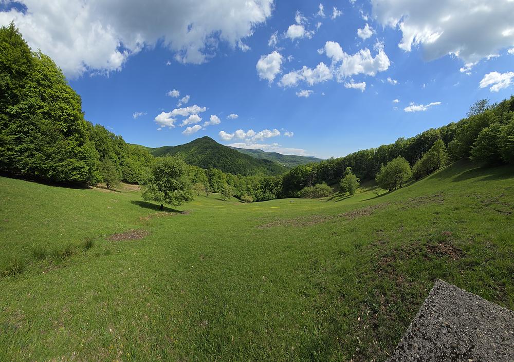 Ultra Wide!